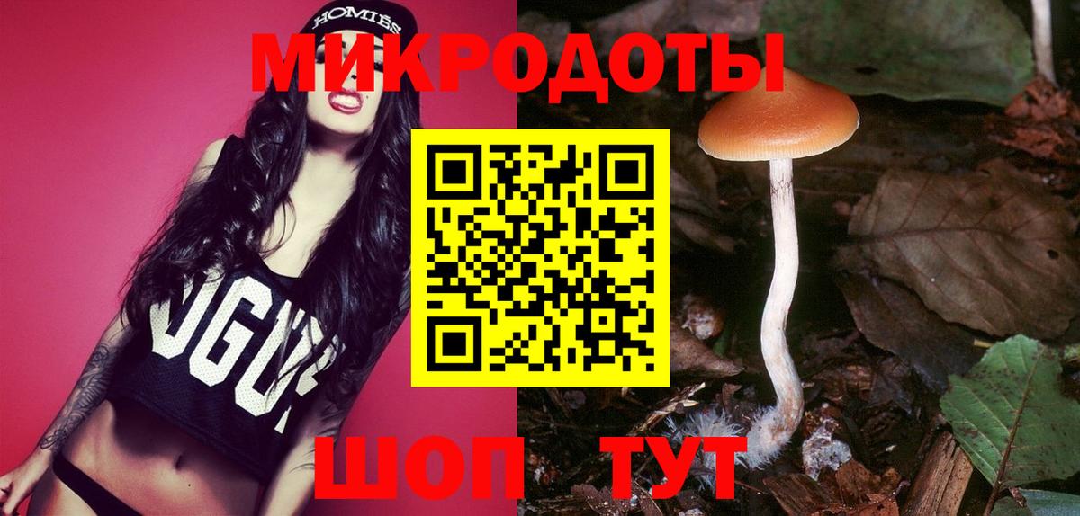 Галлюциногенные грибы GOLDEN TEACHER  Вход с VPN  Минусинск  Галлюциногенные грибы MAGIC MUSHROOMS 
