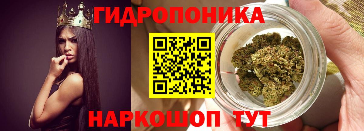 Шишки марихуана тримм  Марихуана план  Минусинск  Шишки марихуана марихуана  Вход с VPN 